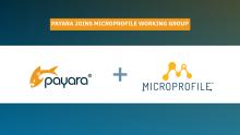 Image for 
<span>Payara Services Joins MicroProfile Working Group</span>
 News item.