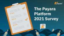 Image for 
<span>Payara Platform 2021 Survey</span>
 News item.