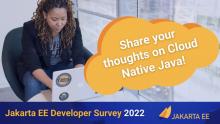 Image for 
<span>Take the 2022 Jakarta EE Developer Survey</span>
 News item.